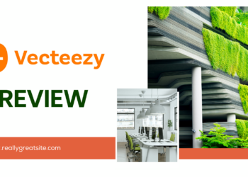 Vecteezy Review: Optimize the Platform’s Key Features