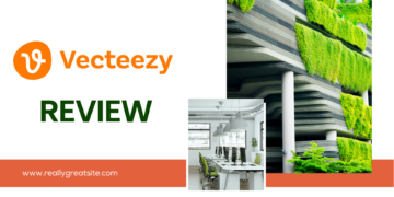 Vecteezy Review: Optimize the Platform’s Key Features