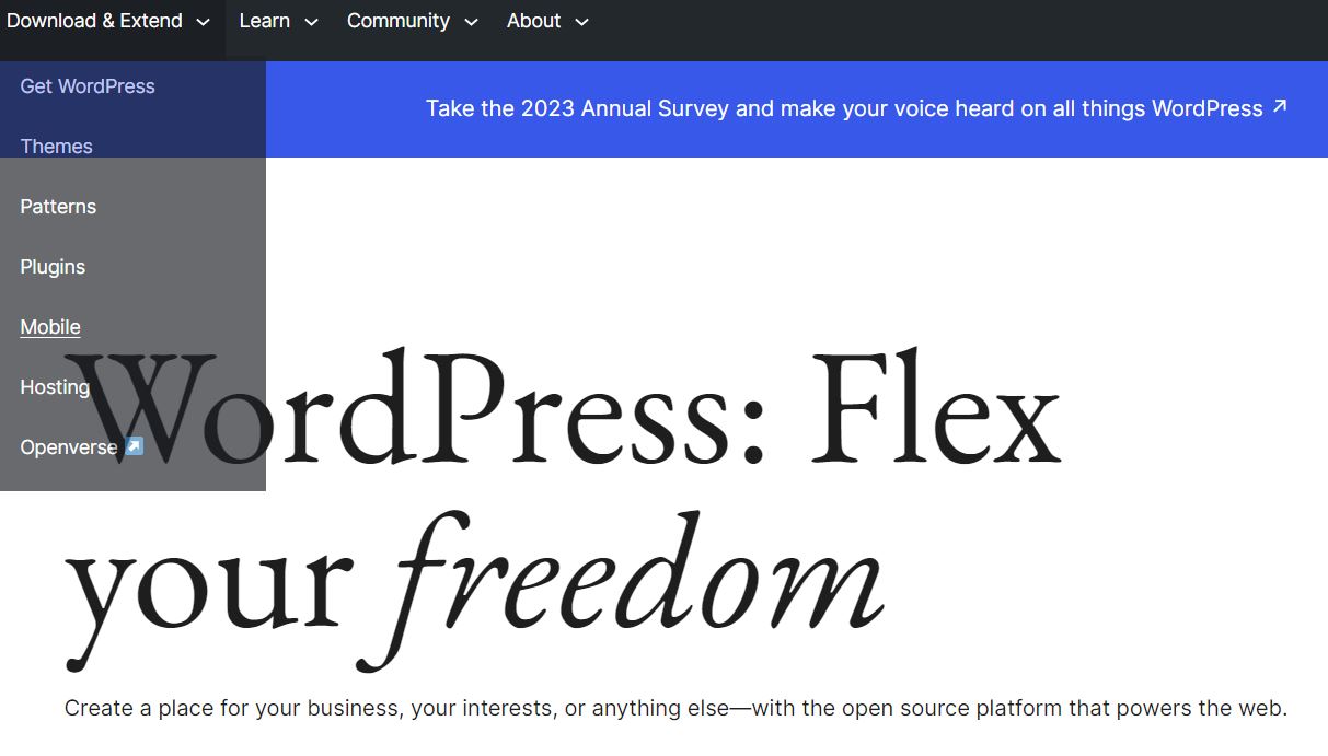 wordpress